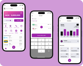 A Fintech Case Study ( PayBoost )